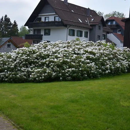 Guest house Hotel-pension Elisabeth-ilse